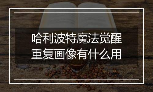 哈利波特魔法觉醒重复画像有什么用