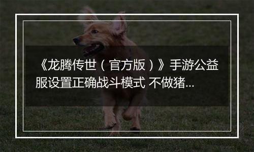 《龙腾传世（官方版）》手游公益服设置正确战斗模式 不做猪队友