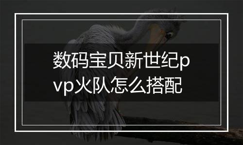 数码宝贝新世纪pvp火队怎么搭配