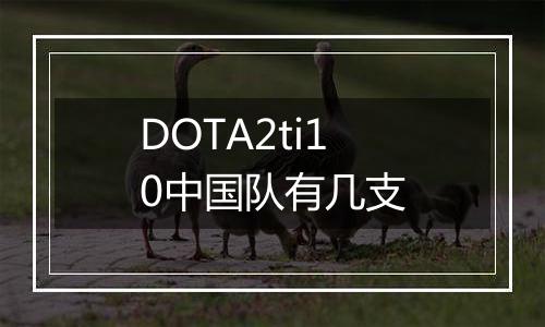 DOTA2ti10中国队有几支