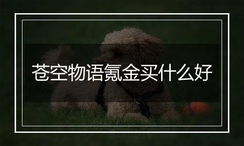 苍空物语氪金买什么好