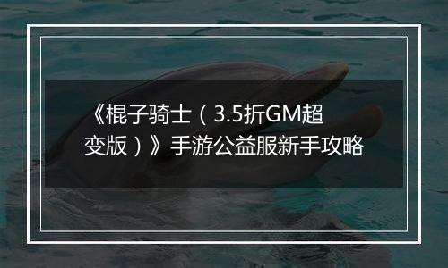 《棍子骑士（3.5折GM超变版）》手游公益服新手攻略
