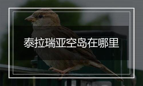 泰拉瑞亚空岛在哪里