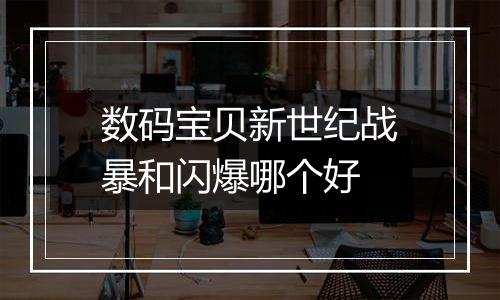 数码宝贝新世纪战暴和闪爆哪个好