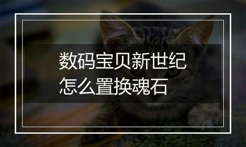 数码宝贝新世纪怎么置换魂石