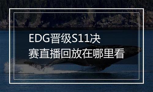 EDG晋级S11决赛直播回放在哪里看