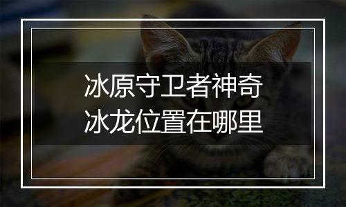 冰原守卫者神奇冰龙位置在哪里
