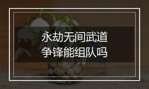 永劫无间武道争锋能组队吗