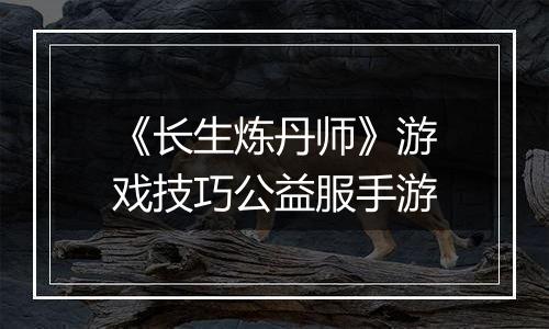 《长生炼丹师》游戏技巧公益服手游