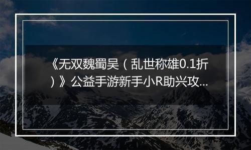 《无双魏蜀吴（乱世称雄0.1折）》公益手游新手小R助兴攻略