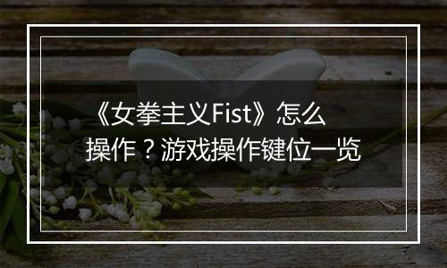 《女拳主义Fist》怎么操作？游戏操作键位一览