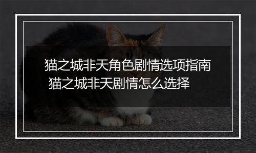 猫之城非天角色剧情选项指南 猫之城非天剧情怎么选择