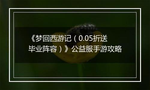 《梦回西游记（0.05折送毕业阵容）》公益服手游攻略