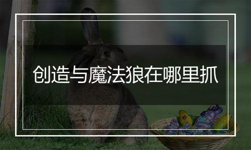 创造与魔法狼在哪里抓