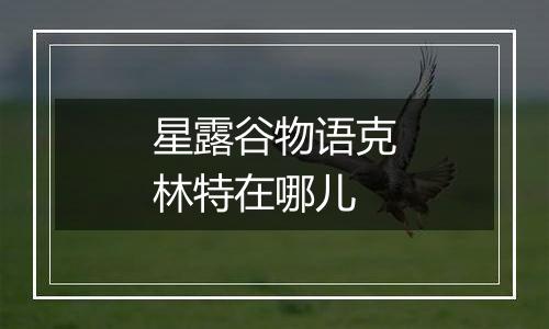 星露谷物语克林特在哪儿