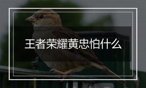 王者荣耀黄忠怕什么