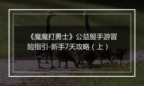 《魔魔打勇士》公益服手游冒险指引-新手7天攻略（上）