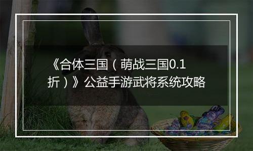 《合体三国（萌战三国0.1折）》公益手游武将系统攻略