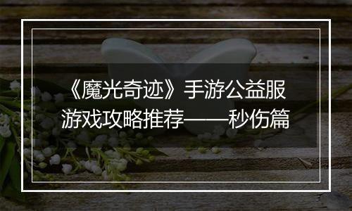 《魔光奇迹》手游公益服游戏攻略推荐——秒伤篇