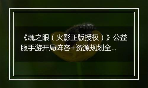 《魂之眼（火影正版授权）》公益服手游开局阵容+资源规划全指南