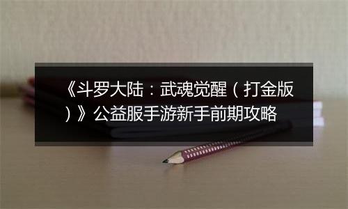 《斗罗大陆：武魂觉醒（打金版）》公益服手游新手前期攻略