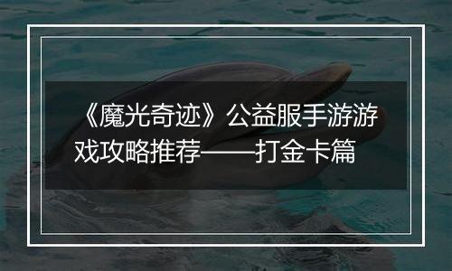 《魔光奇迹》公益服手游游戏攻略推荐——打金卡篇