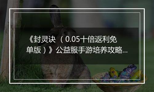 《封灵诀 （0.05十倍返利免单版）》公益服手游培养攻略介绍