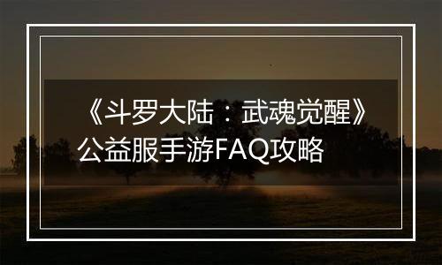 《斗罗大陆：武魂觉醒》公益服手游FAQ攻略