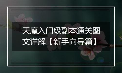 天魔入门级副本通关图文详解【新手向导篇】