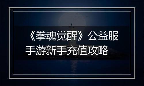 《拳魂觉醒》公益服手游新手充值攻略