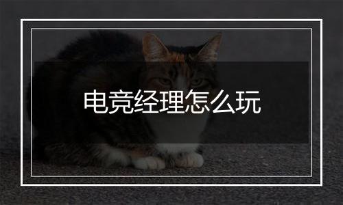 电竞经理怎么玩