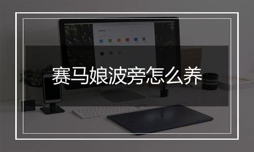 赛马娘波旁怎么养
