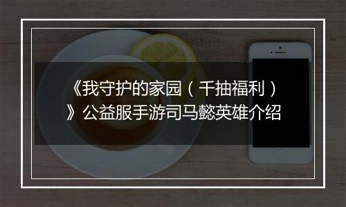 《我守护的家园（千抽福利）》公益服手游司马懿英雄介绍