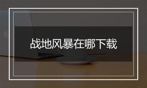 战地风暴在哪下载