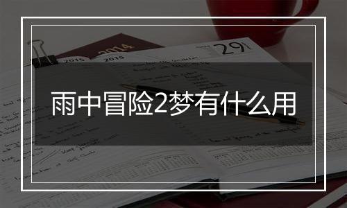 雨中冒险2梦有什么用