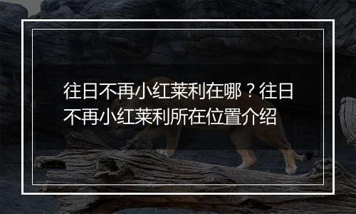 往日不再小红莱利在哪？往日不再小红莱利所在位置介绍