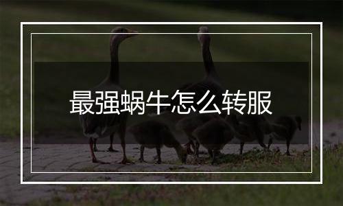 最强蜗牛怎么转服