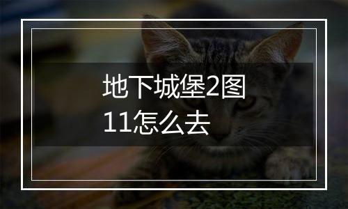 地下城堡2图11怎么去
