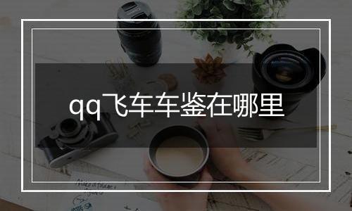 qq飞车车鉴在哪里