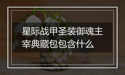 星际战甲圣装御魂主宰典藏包包含什么