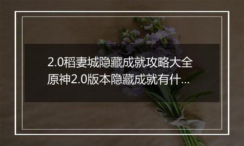 2.0稻妻城隐藏成就攻略大全 原神2.0版本隐藏成就有什么