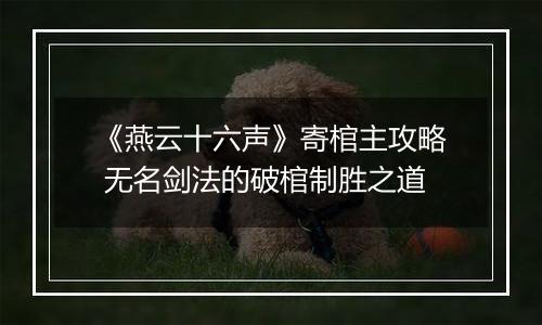 《燕云十六声》寄棺主攻略 无名剑法的破棺制胜之道