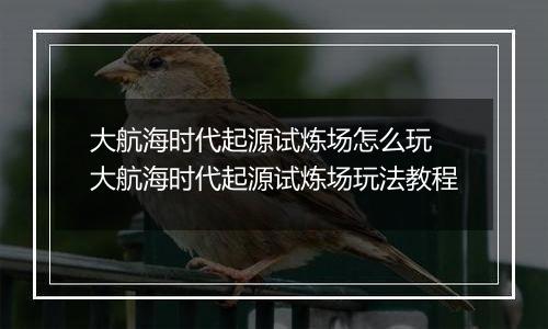 大航海时代起源试炼场怎么玩 大航海时代起源试炼场玩法教程