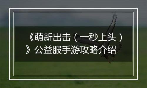 《萌新出击（一秒上头）》公益服手游攻略介绍