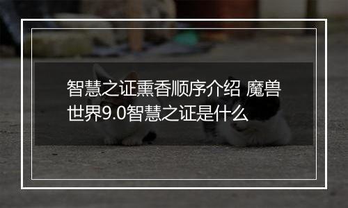 智慧之证熏香顺序介绍 魔兽世界9.0智慧之证是什么