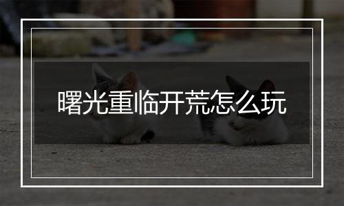 曙光重临开荒怎么玩