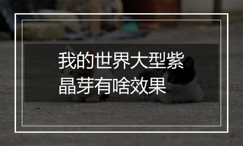 我的世界大型紫晶芽有啥效果