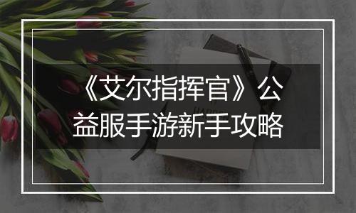 《艾尔指挥官》公益服手游新手攻略