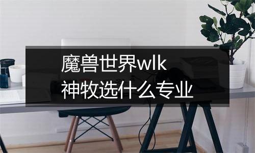 魔兽世界wlk神牧选什么专业