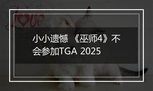 小小遗憾 《巫师4》不会参加TGA 2025